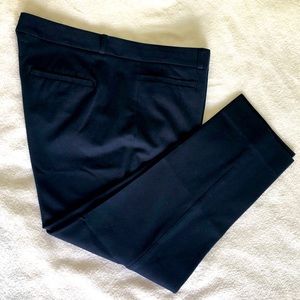 Navy Banana Republic Sloan pants size 10